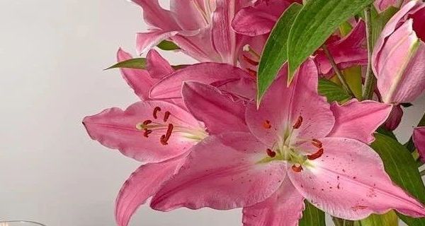 2024 年男士真牛皮高帮加绒棉鞋推荐：探寻冬季户外运动鞋的防水防滑与保暖耐磨之选