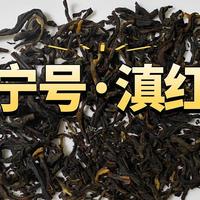 凤宁号贺瑞滇红茶测评