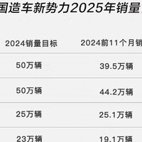 2025年造车新势力目标，谁在脚踏实地，谁又在画大饼？