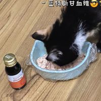 猫咪🐈贫血坚持吃补血肝精，真的很有效❗