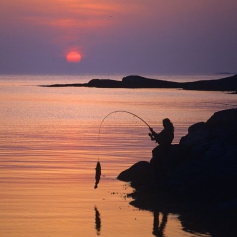 每天了解一项运动：钓鱼🎣