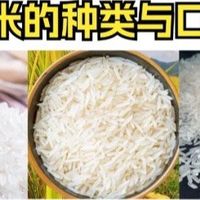 一分钟了解大米的品种与口感