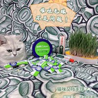 猫咪化毛的产品怎么选？当然是选猫咪喜欢的了！