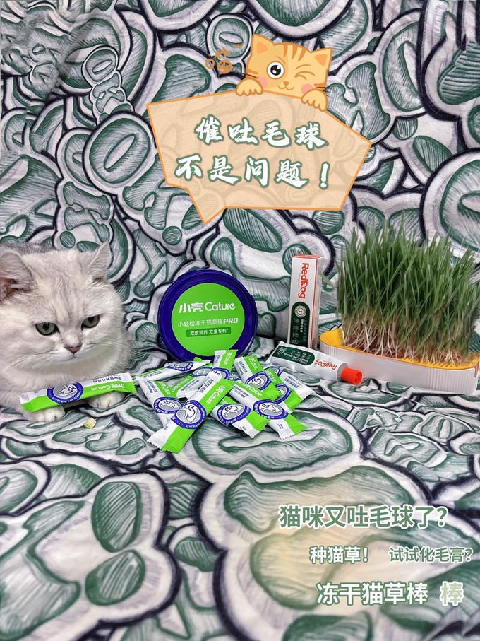 红狗猫咪零食罐/妙鲜包