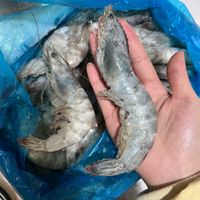 🦐【鲜京采来袭！厄瓜多尔特大白虾，3斤豪装，鲜美盛宴】🦐