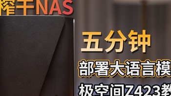 榨干你的NAS！在NAS上部署无限制的大语言模型！极空间Z423教程