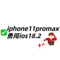 iPhone 11 Pro Max 勇闯ios18.2