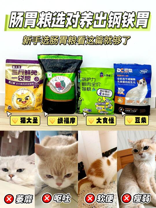 猫咪软便太受罪❗️新手家长选粮千万谨慎