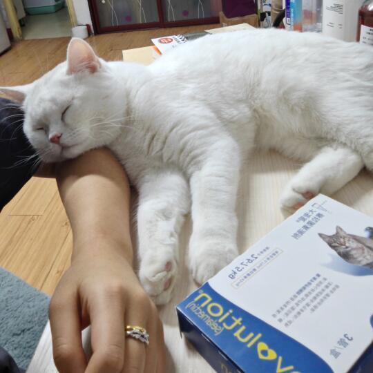 连买两次大宠爱全是假的。。。