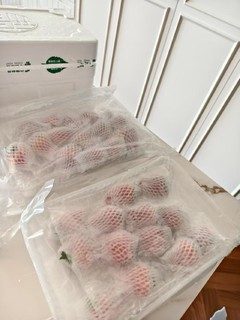 🍓全国草莓看丹东，丹东草莓看九九🍓