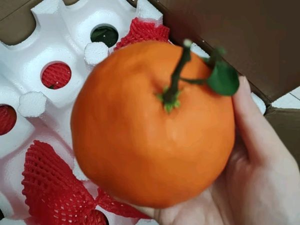 京鲜生年货特惠！四川爱媛38号果冻橙，甜蜜迎新春🍊