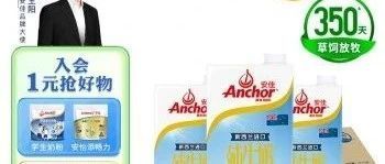 安佳Anchor，3.6g蛋白质全脂牛奶