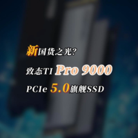 最便宜PCIe 5.0固态硬盘之一？致态TiPro9000