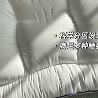 【一夜好眠的秘密】Irisette德国分区95鹅绒枕，我的护颈神器！