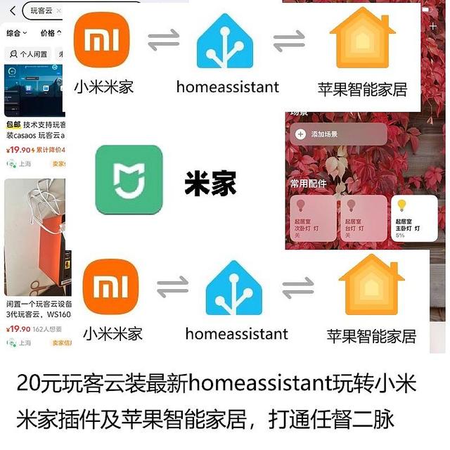 20元玩客云装最新homeassistant玩转小米米家插件及苹果智能家居