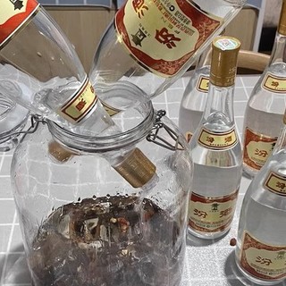 老酒鬼常喝的6种“口粮酒”，50元左右，价格不贵，都是纯粮好酒