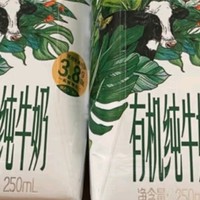 年货储备就选伊利金典牛奶