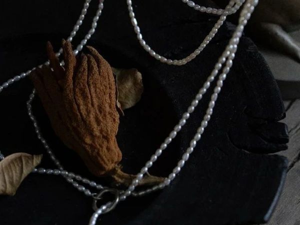 一条全能的珍珠项链