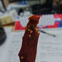 比比赞（BIBIZAN）风干鸡胸肉500g香辣味鸡肉条干