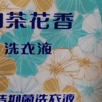 洗衣液持久留香去污渍学生母婴可用1袋装批发手洗多效大师洁净