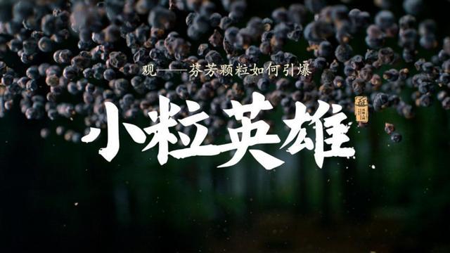 《风味人间5·香料传奇》超前点映：探寻美食背后的隐形英雄