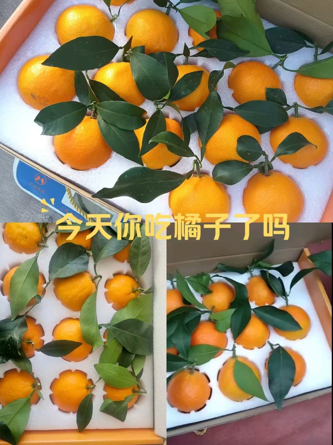 新鲜水果