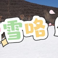 2025新年家庭游目的地大揭秘：东北滑雪之旅