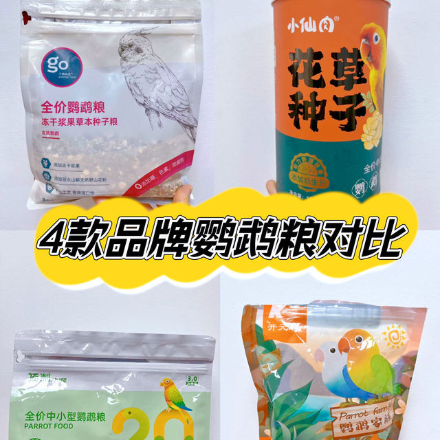 新手养鹦鹉丨4款品牌鹦鹉粮对比