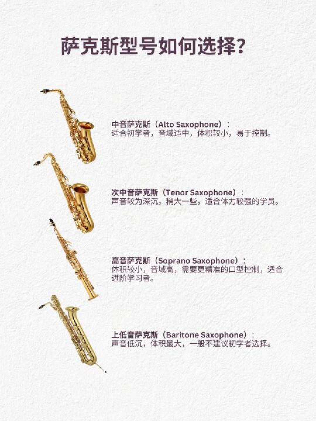 初学萨克斯的完整入门指南，全面提升演奏技巧