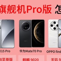 2024年旗舰机 Pro 版怎么选?一图总结