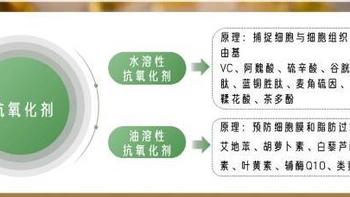 选择最适合你的抗氧化保健品：详细解析维生素C、E、辅酶Q10、虾青素和硫辛酸的功效与适用人群