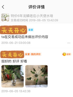 你会在闲鱼网购绿植吗？