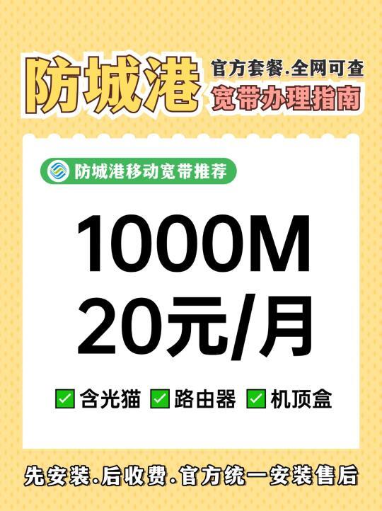 家庭宽带办理指南：从选择服务商到日常维护的全方位注意事项与建议