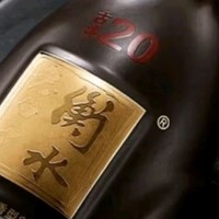 衡水老白干古法20老白干香型白酒52度京东配送 52%vol 500mL 