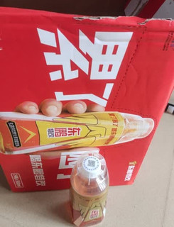 打工人续命水，东鹏特饮500ml装