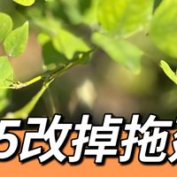 盘点一下2024年的“蠢事”，希望2025年能够改掉拖延症！