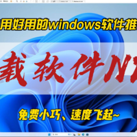 自用好用的windows软件推荐，NDM下载