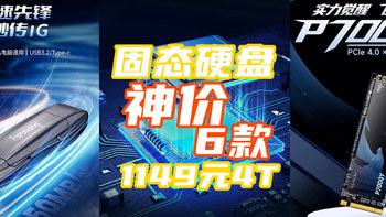 2025固态开门神价？1149元4T重出江湖！这6款值得上车！