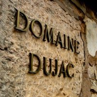 Dujac：勃艮第传统与创新的经典融合