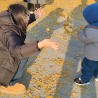 去青岛法海寺，赏千年古银杏！全家游玩的好去处！