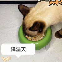 😿降温天，毛孩子咋还总生病？元凶竟是它❗