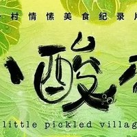  探索纪录片《小酸村》：酸味中的乡村情愫与生活智慧