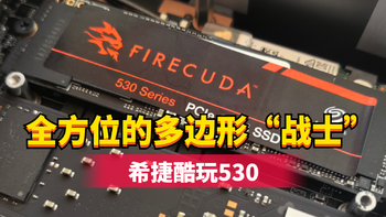 DIY装机，M.2 SSD怎么选？光有速度还不够，希捷酷玩530给你答案