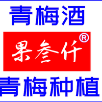 四川大邑南高梅青梅种植基地|青梅鲜果|大邑南高梅批发-果叁仟