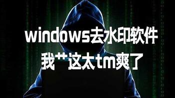 推荐2款windows神级去水印软件，我艹这太tm爽了