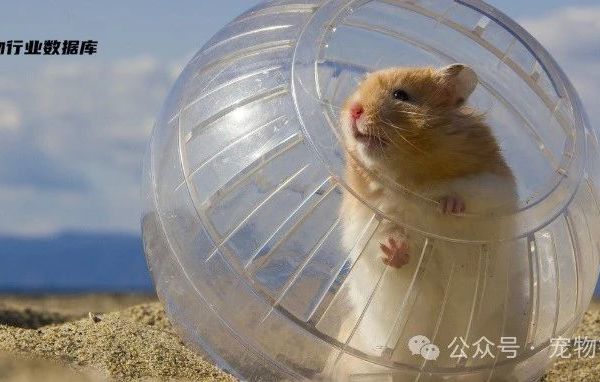 小宠公司获近亿元A轮融资，小宠赛道也“卷”起来了？