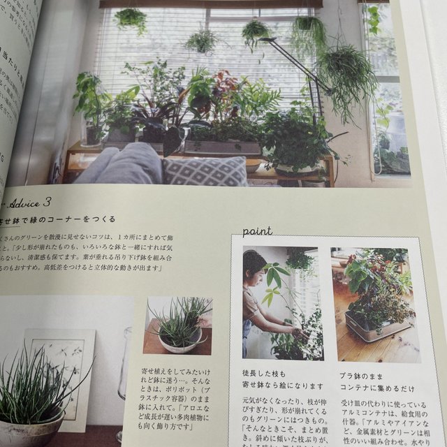 哪里可以买到便宜又好的国外过期杂志啊