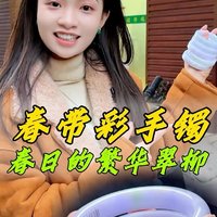 春带彩手镯，腕间的一抹春色与诗意“春”为紫，“彩”是绿