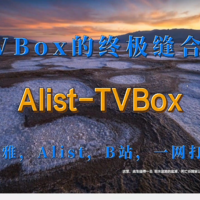 Tvbox的终极缝合怪，Alist-TVBox