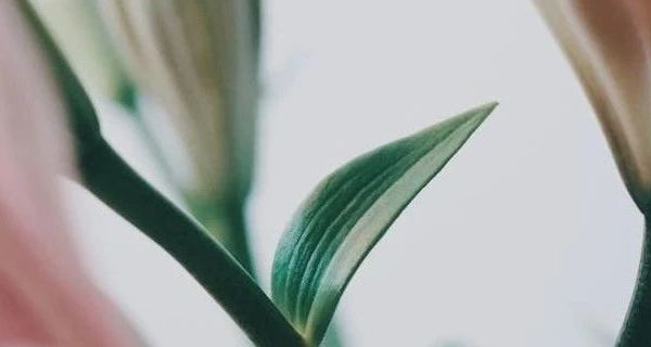 男士运动休闲鞋及潮流男鞋春季新款介绍与常见问题解答